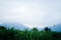 Bird, Clouds, Mountains, PalgongSan Mountain